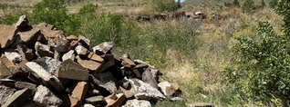 Թալինի եկեղեցական համալիրում խորանի տակ գտնվող հազվագյուտ դամբարանը վերածվել է շինարարարական աղբարկղի. Նազենի Ղարիբյան