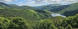 «Հայանտառ» ՊՈԱԿ-ի պաշտոնատար անձինք մեղադրվում են հափշտակություն կատարելու մեջ