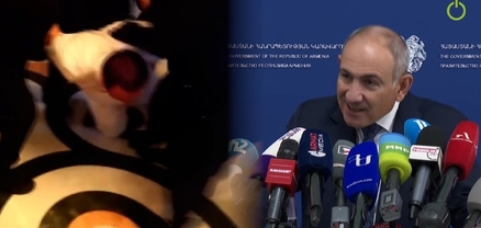 Ինձ չի հետաքրքրում, ձեր ասած տեսարանները չեմ տեսել. Փաշինյանը՝ Ծառուկյանի ձերբակալման կադրերի մասին
