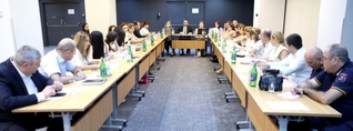 Քննարկվել է վիզաների ազատականացման գործողությունների ծրագրի կատարման ընթացքը․ ՆԳՆ