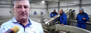ԱՄՆ-ում 1-2 տոննա, Եվրոպայում՝ լոգիստիկ փակուղի. ինչո՞ւ է ձկան արտահանումը կախված միայն ՌԴ-ից