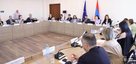 Հայաստանը և ԵՄ-ն կառուցողական քննարկում են անցկացրել մարդու իրավունքներին առնչվող հարցերի շուրջ․ ԱԳՆ