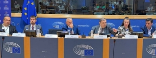 Ինչպես հայրս ասել է՝ այս դատավարությունն ուղղված է ՀՀ-ի դեմ. Դավիթ Իշխանյանի որդու ելույթը ԵԽ-ում
