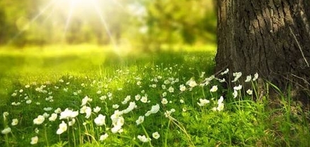 Օդի ջերմաստիճանը կբարձրանա 2-4 աստիճանով