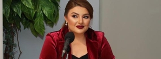 ՀՀ իշխանությունների գործողությունների հետևանքով խախտվել են ՀՀ-ում Նիկոլայ Վինիցկի ներդրումային իրավունքները