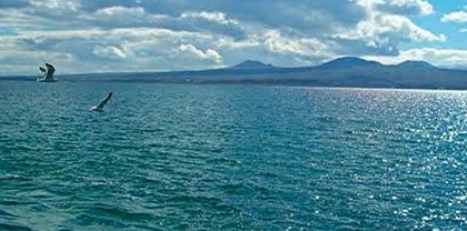 Որքան է Սևանա լճի ջրի ջերմաստիճանը