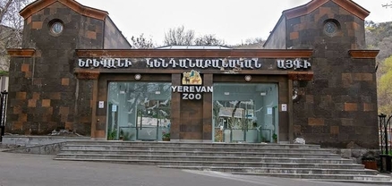 Երևանի կենդանաբանական այգու մուտքավճարը թանկացել է