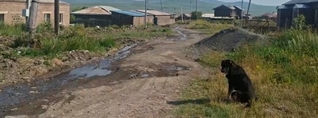 Մեքենաս էս ճամփեքին ջարդուխուրդ եղավ, Գյումրիից գյուղ 2 ժամում ենք հասնում. վարորդ