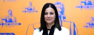Արեգնազ Մանուկյանը երկու ամսով կալանավորվել է