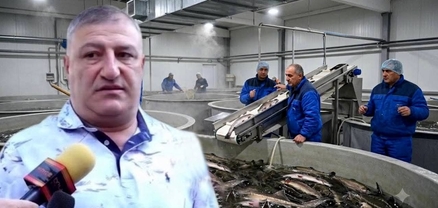 ԱՄՆ-ում 1-2 տոննա, Եվրոպայում՝ լոգիստիկ փակուղի. ինչո՞ւ է ձկան արտահանումը կախված միայն ՌԴ-ից