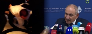 Ինձ չի հետաքրքրում, ձեր ասած տեսարանները չեմ տեսել. Փաշինյանը՝ Ծառուկյանի ձերբակալման կադրերի մասին