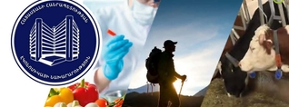 27 վարչությունների լաբիրինթոսը. երբ պետական ապարատն ավելի արագ է աճում, քան տնտեսությունը