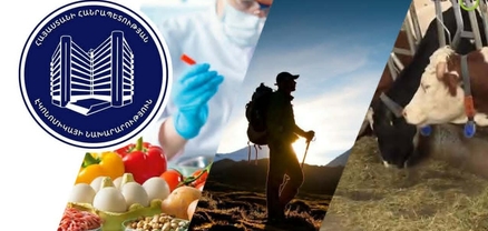 27 վարչությունների լաբիրինթոսը. երբ պետական ապարատն ավելի արագ է աճում, քան տնտեսությունը