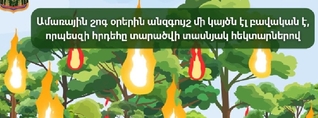 Անտառային հրդեհ նկատելու դեպքում զանգահարեք 1-07
