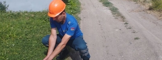 Վիրավոր արագիլի ձագը տեղափոխվել է կենդանիների պաշտպանության հիմնադրամ