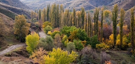 «Խոսրովի անտառ» պետական արգելոցը հուլիսի 12-ին փակ կլինի