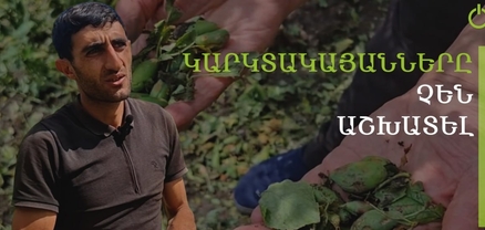 Էնքան եմ հիասթափված, որ չեմ ուզում բոստան մտնել, կարկուտը սրբեց-տարավ մեր ապրուստը. գոգհովիտցի