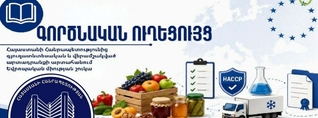 Արտահանո՞ւմ, թե՞ գիտական թեզ. ինչպես չմոլորվել Էկոնոմիկայի նախարարության «գործնական ուղեցույց»-ում