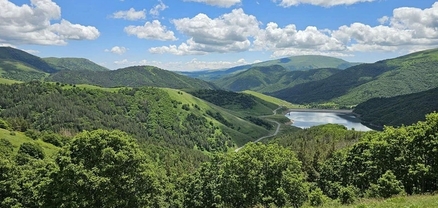 «Հայանտառ» ՊՈԱԿ-ի պաշտոնատար անձինք մեղադրվում են հափշտակություն կատարելու մեջ