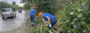 Ջրալցված նկուղներ, կոտրված ծառեր, թեքված էլեկտրասյուներ. ինչ վիճակ է Գյումրիում