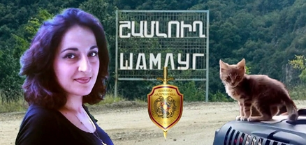 Ողջ շենքը ինձ չի բարևում. Շամլուխի բնակչուհուն սպառնացել են՝ «մկնդեղ ենք շաղ տալու, սպանենք կատուներիդ»