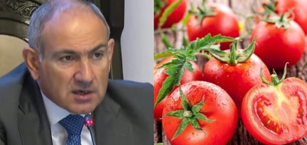Էնպես չի, որ լոլիկը վտանգավոր է մարդու համար, բայց մարդիկ ուտում են ու ասում՝ «հիմիկվա լոլիկը համ չունի». Փաշինյան
