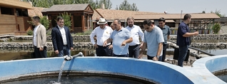 Նիկոլ Փաշինյանն այցելել է Ջրառատ բնակավայրում գործող ձկնաբուծարան