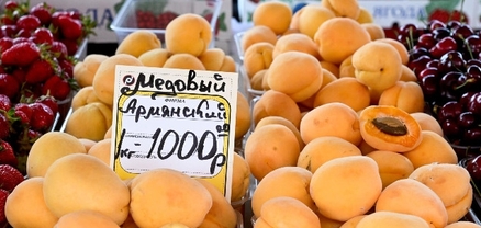 «Ռոսսելխոզնադզորը» սպասում է խախտումների մասին Հայաստանի հետաքննության արդյունքներին