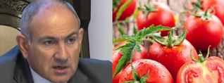 Էնպես չի, որ լոլիկը վտանգավոր է մարդու համար, բայց մարդիկ ուտում են ու ասում՝ «հիմիկվա լոլիկը համ չունի». Փաշինյան