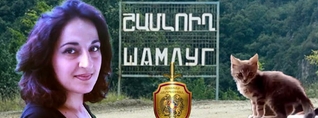 Ողջ շենքը ինձ չի բարևում. Շամլուխի բնակչուհուն սպառնացել են՝ «մկնդեղ ենք շաղ տալու, սպանենք կատուներիդ»
