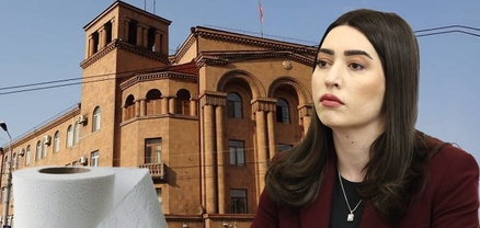Պետության կարիքների համար... զուգարանի թուղթ` ռուլոնով