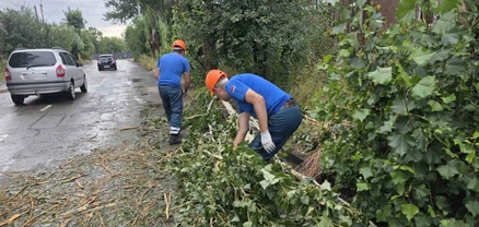 Ջրալցված նկուղներ, կոտրված ծառեր, թեքված էլեկտրասյուներ. ինչ վիճակ է Գյումրիում