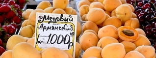 «Ռոսսելխոզնադզորը» սպասում է խախտումների մասին Հայաստանի հետաքննության արդյունքներին