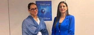 Քննարկվել է ԵՄ-ՀՀ մարդու իրավունքների երկխոսության շրջանակում հետագա համագործակցությունը