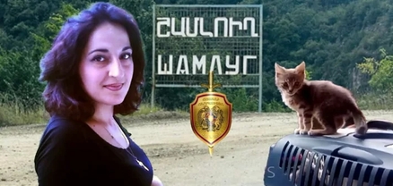 Շամլուղում կատուներ պահող Գայանեի հանդեպ հալածանքները  շարունակվում են