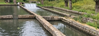Լոռիում կասեցվել է ձկնաբուծարանի ապօրինի ջրառը. ԲԸՏՄ
