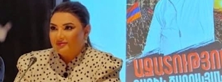 ԵԽԽՎ-ն մտահոգիչ է համարել ընտրատեղամասերի արդյունքների չեղարկելը և վերաքվեարկություն չնշանակելը. Տոնոյան