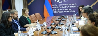 Պապոյանն ընդունել է ՎԶԵԲ-ի Թուրքիայի և Կովկասի հարցերով գործադիր տնօրենի գլխավորած պատվիրակությանը