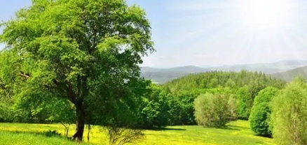 Սպասվում է առանց տեղումների եղանակ, ջերմաստիճանը  կնվազի 3-ով