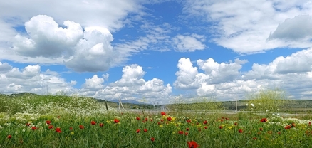 Ինչպիսի՞ եղանակ է սպասվում առաջիկա օրերին
