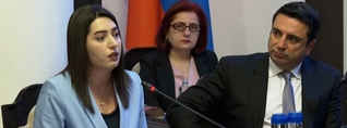 Աննա Հակոբյանի սկսած արշավը նպատակ ունի կանխարգելելու ի սկզբանե բռնությունը ընտանիքում. Արփինե Սարգսյան