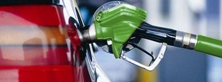 Դիզելի փոխարեն՝ ռապսի յուղ․ Ֆրանսիայում վարորդները նոր լուծում են գտել