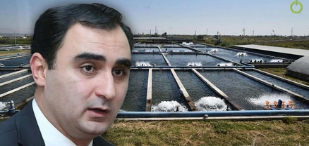 Ագրարային քաղաքականություն չունենալու գինը. ձկնարդյունաբերության ճգնաժամն ու ազատ շուկայի տապալումը