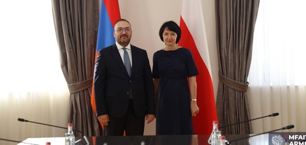 Հայաստանի և Լեհաստանի արտաքին քաղաքական գերատեսչությունների միջև ինստիտուցիոնալ համագործակցության ամրապնդման հնարավորությունների քննարկում