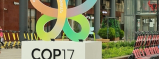 COP17-ի օրերին ճանապարհներ են փակվելու, մի քանի օր պետական համակարգը կանցնի հեռավար աշխատանքի. Փաշինյան