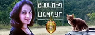 Շամլուղում կատուներ պահող Գայանեի հանդեպ հալածանքները  շարունակվում են