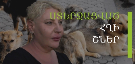 Կեղծ պիտակներ և ստերջացված ու հղի շներ