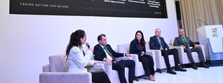 COP17-ի շրջանակում ներկայացվել է բնապահպանական վերահսկողության թվայնացման Հայաստանի փորձը․ ԲԸՏՄ