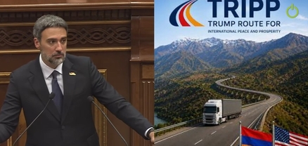 Իշխանությունը հայտնվել է ծուղակում. ԹՐԻՓՓ-ը վավերացված է, խաղաղության համաձայնագիրը՝ ոչ. Վարդևանյան