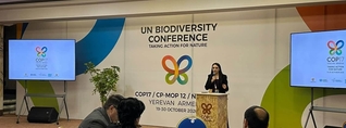 COP17-ում քննարկվել են բնապահպանների իրավունքների պաշտպանության մարտահրավերները